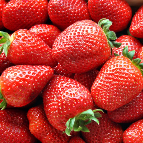 Земляника Верона